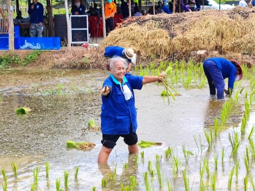 ปราชญ์ชาวบ้าน คุณอัมพร แสงราช ผู้สูงอายุชุมชนสองแคว1 ปราชญ์เรื่อง สานใบมะพร้าว และจัดทำตุง