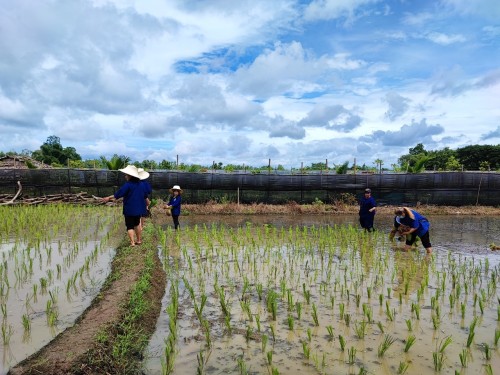 ปราชญ์ชาวบ้าน คุณอัมพร แสงราช ผู้สูงอายุชุมชนสองแคว1 ปราชญ์เรื่อง สานใบมะพร้าว และจัดทำตุง