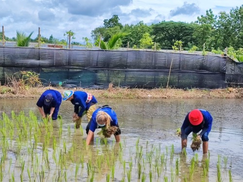 ปราชญ์ชาวบ้าน คุณอัมพร แสงราช ผู้สูงอายุชุมชนสองแคว1 ปราชญ์เรื่อง สานใบมะพร้าว และจัดทำตุง