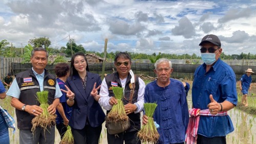 ปราชญ์ชาวบ้าน คุณอัมพร แสงราช ผู้สูงอายุชุมชนสองแคว1 ปราชญ์เรื่อง สานใบมะพร้าว และจัดทำตุง