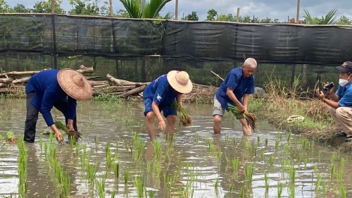 ปราชญ์ชาวบ้าน คุณอัมพร แสงราช ผู้สูงอายุชุมชนสองแคว1 ปราชญ์เรื่อง สานใบมะพร้าว และจัดทำตุง