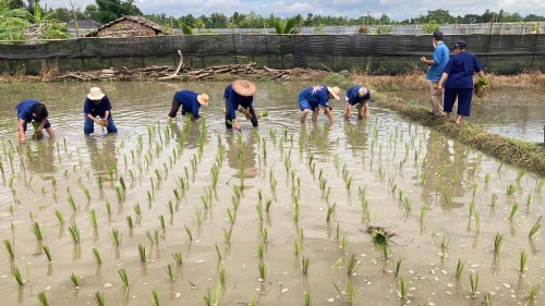 ปราชญ์ชาวบ้าน คุณอัมพร แสงราช ผู้สูงอายุชุมชนสองแคว1 ปราชญ์เรื่อง สานใบมะพร้าว และจัดทำตุง
