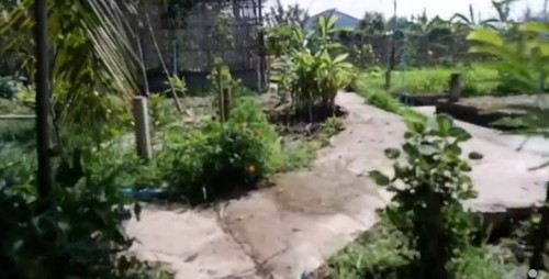 ปราชญ์ชาวบ้าน คุณอัมพร แสงราช ผู้สูงอายุชุมชนสองแคว1 ปราชญ์เรื่อง สานใบมะพร้าว และจัดทำตุง