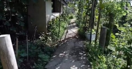 ปราชญ์ชาวบ้าน คุณอัมพร แสงราช ผู้สูงอายุชุมชนสองแคว1 ปราชญ์เรื่อง สานใบมะพร้าว และจัดทำตุง