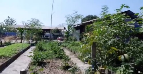 ปราชญ์ชาวบ้าน คุณอัมพร แสงราช ผู้สูงอายุชุมชนสองแคว1 ปราชญ์เรื่อง สานใบมะพร้าว และจัดทำตุง