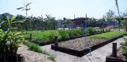 ปราชญ์ชาวบ้าน คุณอัมพร แสงราช ผู้สูงอายุชุมชนสองแคว1 ปราชญ์เรื่อง สานใบมะพร้าว และจัดทำตุง