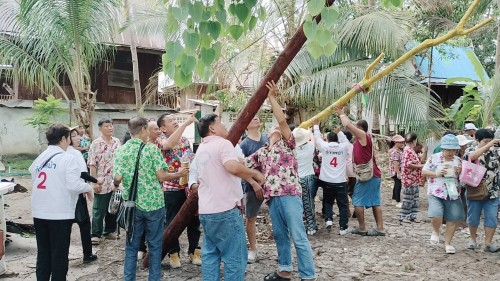 แห่ไม้ง่าม