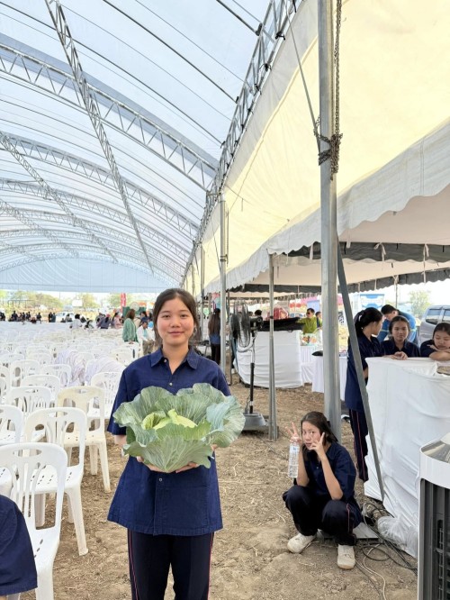 ผักปลอดสาร