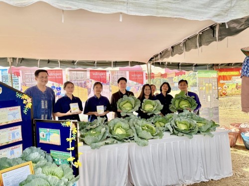 ผักปลอดสาร