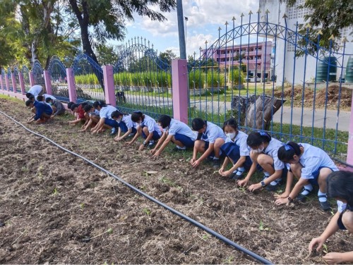 ผักปลอดสาร