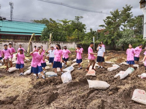 ผักปลอดสาร