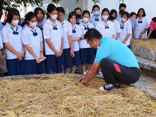 ผักปลอดสาร