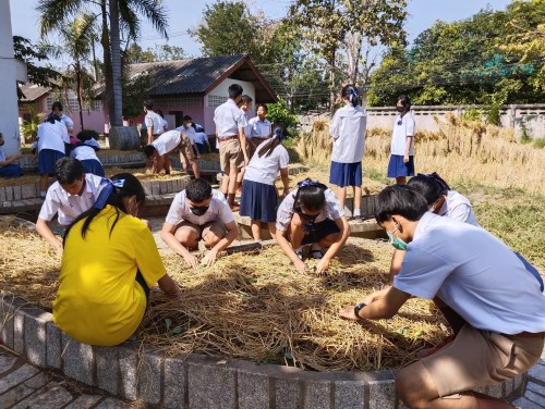 ผักปลอดสาร