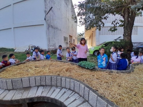 ผักปลอดสาร