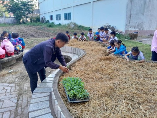 ผักปลอดสาร