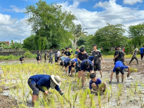 โครงการการทำนาข้าวอินทรีย์