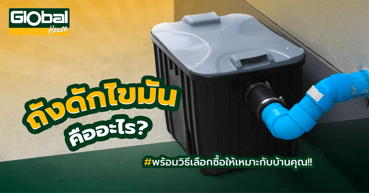 สาระน่ารู้ 