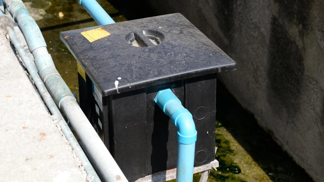 สาระน่ารู้ 