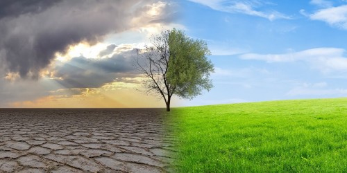 ภาวะโลกร้อน (Global Warming) คืออะไร | เข้าใจปัญหา สาเหตุและผลกระทบ