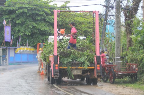 กิจกรรม \"จิตอาสาพัฒนาปรับปรุงภูมิทัศน์\" เฉลิมพระเกียรติพระบาทสมเด็จพระเจ้าอยู่หัว เนื่องในโอกาสพระราชพิธีมหามงคล เฉลิมพระชนมพรรษา 6 รอบ