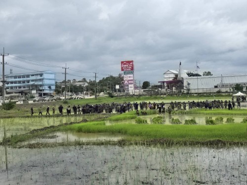 ร่วมกิจกรรม \"ปลูกข้าว ปลูกใจ เด็กไทย รักษ์ข้าว\" ณ แปลงนาสาธิตโรงเรียนเทศบาลวัดดอนแก้ว (แปลงนาสาธิตบริเวณด้านข้างห้าแยกโฮมโปร)