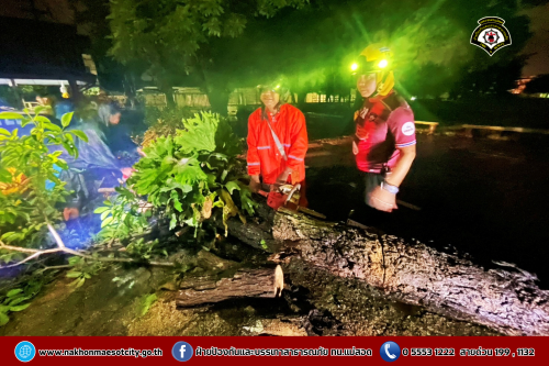 ดับเพลิงนครแม่สอด ออกตรวจสอบและดำเนินการตัดต้นไม้ล้ม ณ โรงเรียนเทศบาลวัดมณีไพรสณฑ์