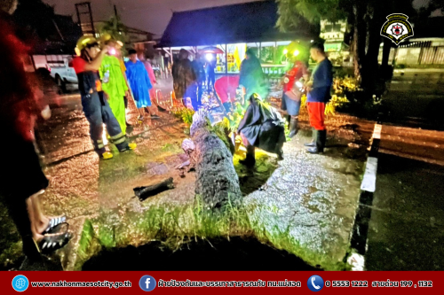 ดับเพลิงนครแม่สอด ออกตรวจสอบและดำเนินการตัดต้นไม้ล้ม ณ โรงเรียนเทศบาลวัดมณีไพรสณฑ์