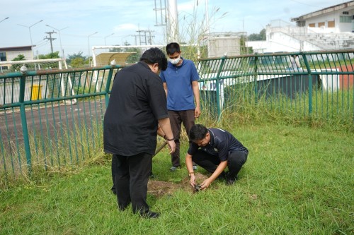 กองการศึกษาร่วมปลูกต้นไม้ เนื่องในโอกาสวันรักต้นไม้ประจำปีของชาติ