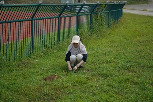 กองการศึกษาร่วมปลูกต้นไม้ เนื่องในโอกาสวันรักต้นไม้ประจำปีของชาติ