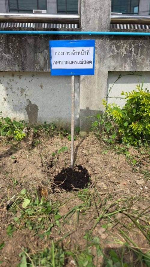 ร่วมกิจกรรมวันต้นไม้ประจำปีของชาติ พ.ศ.2568