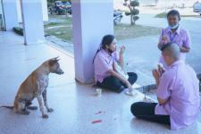 โครงการฝึกอบรมเชิงปฏิบัติการเพื่อพัฒนาเด็กและเยาวชนให้มีคุณธรรม จริยธรรม และทักษะทางสังคม