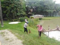 งานสวนสาธารณะ กองช่าง ปรับปรุงพัฒนาภูมิทัศน์ในพื้นที่เขต ทน.แม่สอด