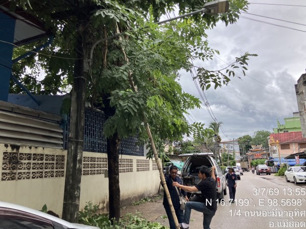 S__73089041_0