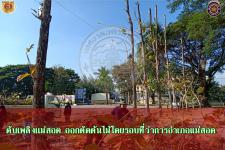 ดับเพลิงเเม่สอด ออกตัดต้นไม้โดยรอบที่ว่าการอำเภอเเม่สอด