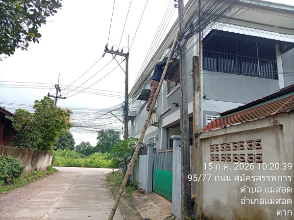 S__75399185_0