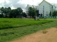 กองช่าง ให้ความอนุเคราะห์ตัดหญ้าบริเวณสนามกีฬาสมเด็จพระนเรศฯ