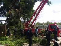 กองช่างร่วมกับงานป้องกันฯ ตัดแต่งกิ่งไม้บริเวณ รร.วัดมณีไพรสณฑ์