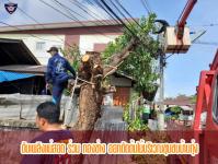 ดับเพลิงเเม่สอด ร่วมกองช่าง ตัดต้นไม้ชุมชนบ่้านทุ่ง