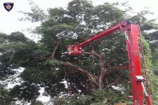 ดับเพลิงเเม่สอด ร่วมกองช่าง ตัดต้นไม้โรงเรียนเทศบาลวัดมณีไพรสณฑ์