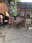 ลงพื้นที่เยี่ยมบ้านผู้สูงอายุและคนพิการชุมชนสักทองและชุมชนประชารักษ์