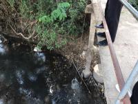 นักวิชาการสุขาภิบาล ลงพื้นที่เก็บตัวอย่างน้ำเพื่อวิเคราะห์คุณภาพภาพทิ้งน้ำเสียชุมชน กรณีเรื่องร้องเรียนปัญหาน้ำเสียจากลำห้วยแม่สอด