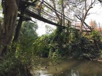 นักวิชาการสุขาภิบาล ลงพื้นที่เก็บตัวอย่างน้ำเพื่อวิเคราะห์คุณภาพภาพทิ้งน้ำเสียชุมชน กรณีเรื่องร้องเรียนปัญหาน้ำเสียจากลำห้วยแม่สอด