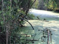 นักวิชาการสุขาภิบาล ลงพื้นที่เก็บตัวอย่างน้ำเพื่อวิเคราะห์คุณภาพภาพทิ้งน้ำเสียชุมชน กรณีเรื่องร้องเรียนปัญหาน้ำเสียจากลำห้วยแม่สอด