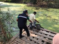 นักวิชาการสุขาภิบาล ลงพื้นที่เก็บตัวอย่างน้ำเพื่อวิเคราะห์คุณภาพภาพทิ้งน้ำเสียชุมชน กรณีเรื่องร้องเรียนปัญหาน้ำเสียจากลำห้วยแม่สอด