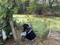 นักวิชาการสุขาภิบาล ลงพื้นที่เก็บตัวอย่างน้ำเพื่อวิเคราะห์คุณภาพภาพทิ้งน้ำเสียชุมชน กรณีเรื่องร้องเรียนปัญหาน้ำเสียจากลำห้วยแม่สอด