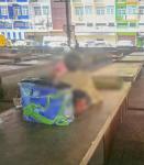 ลงพื้นที่ตลาดท่ารถแม่ระมาด และชุมชนสองแควสอง เพื่อติดตามเคสพร้อมประสานศูนย์คุ้มครองคนไร้ที่พึ่งจังหวัดตาก