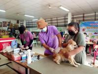 กองสาธารณสุขและสิ่งแวดล้อม ออกพื้นที่ให้บริการฉีดวัคซีนป้องกันโรคพิษสุนัขบ้า ในชุมชนบ้านเหนือสามัคคี และชุมชนแม่สอดวิลล่า