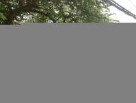 คลินิกชุมชนอบอุ่นเทศบาลนครแม่สอด  ลงพื้นที่สำรวจความประสงค์ฉีดวัคซีนป้องกันโรคโควิด 19 ในกลุ่มผู้สูงอายุอายุ 60 ปี ขึ้นไป ในเขตเทศบาลนครแม่สอด 