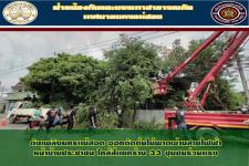 ดับเพลิงนครเเม่สอด ออกตัดต้นไม้พาดผ่านสายไฟฟ้า หน้าบ้านประชาชน ใกล้ร้าน 33 ชุมชนร่วมเเรง