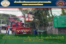 ดับเพลิงนครเเม่สอด ร่วมกองช่าง ตัดเถาวัลย์เเนวสายไฟฟ้า ชุมชนจ๊อกจอสามัคคี
